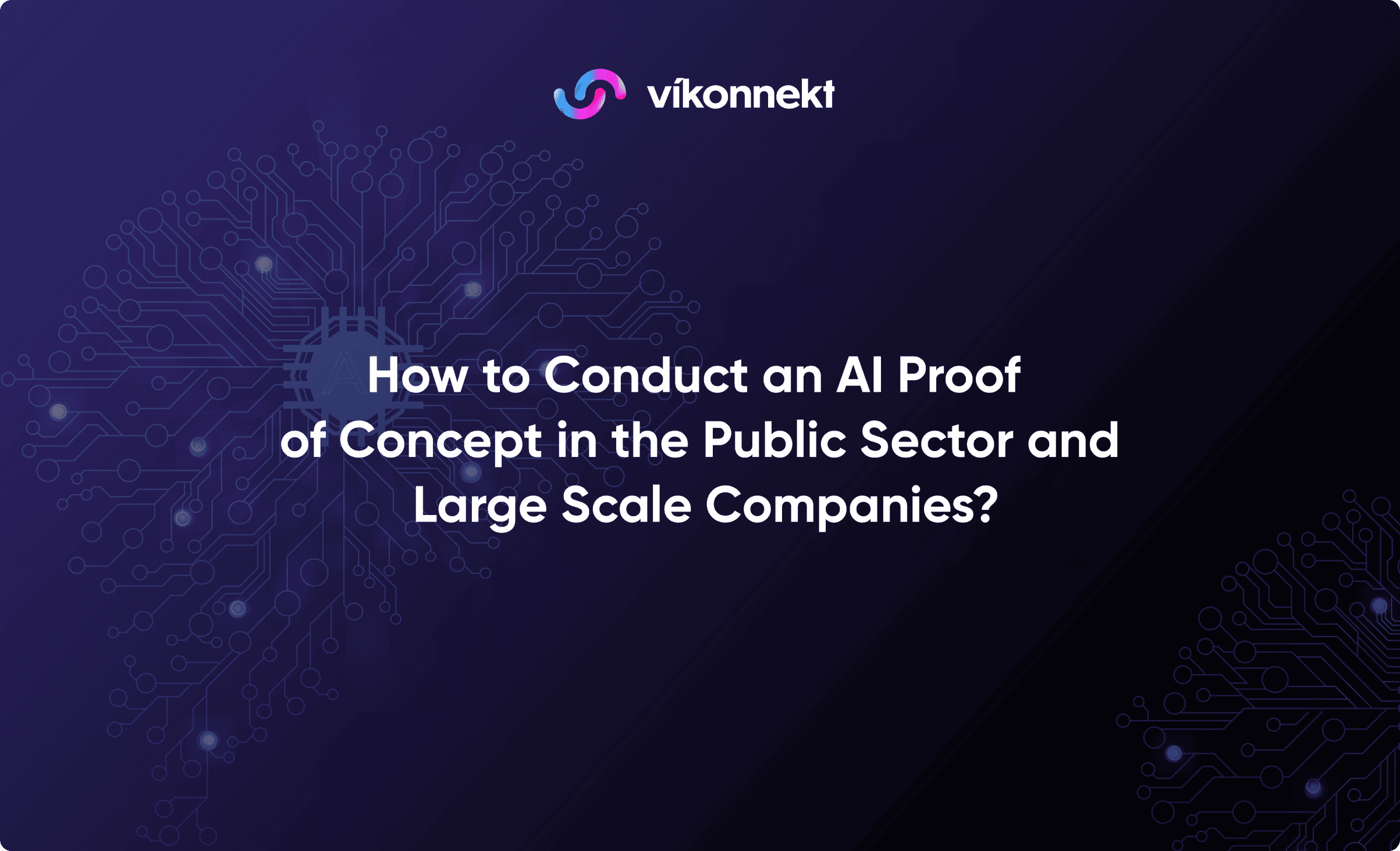 How to Conduct an AI Proof of Concept in the Public Sector and Large Scale Companies?